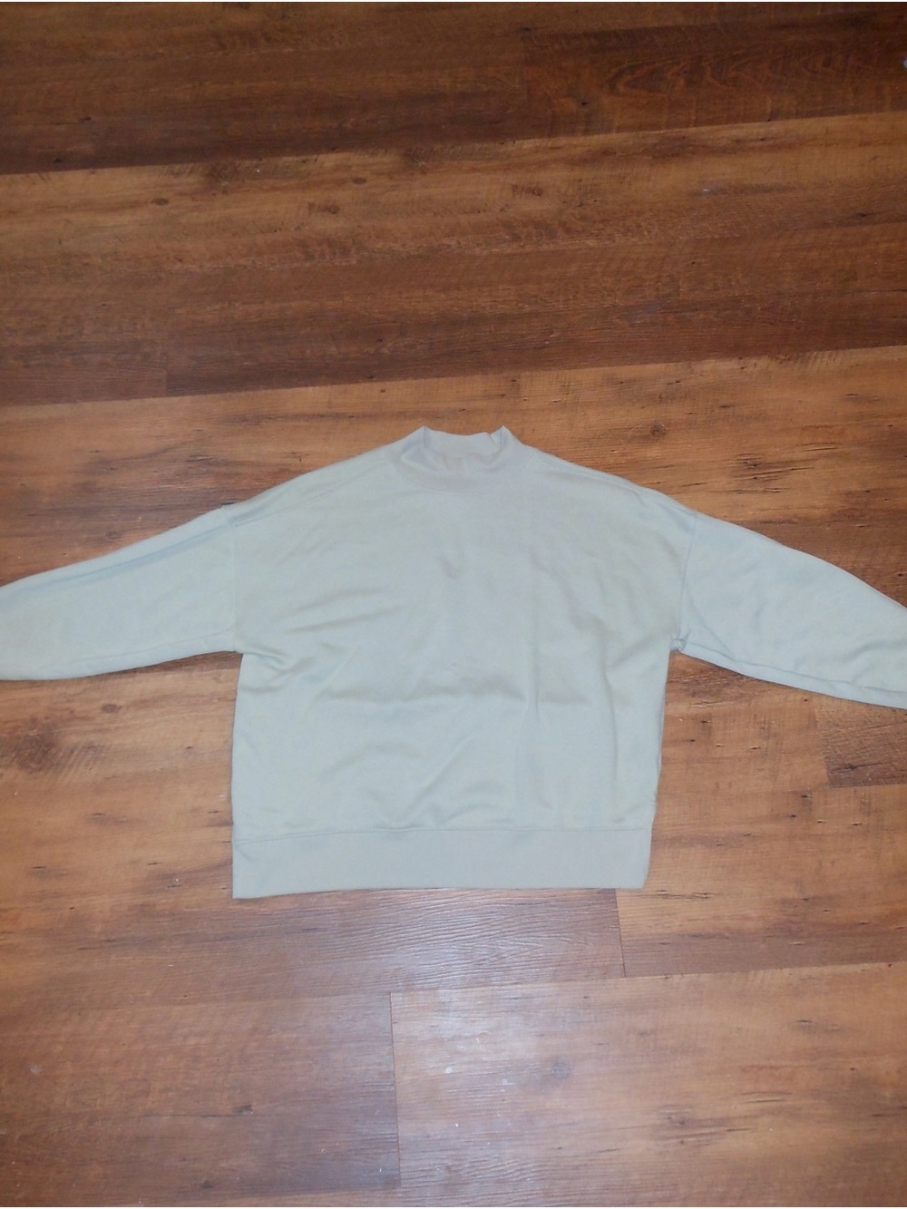 American Eagle Outfitters Light Sage Green Mockneck Sweatshirt